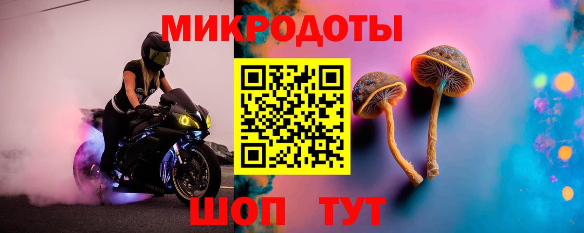 Галлюциногенные грибы мицелий Щёкино